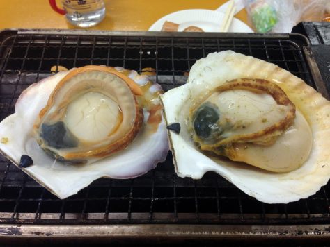20150321_035552120_iOS
