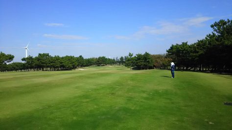 wakasu01